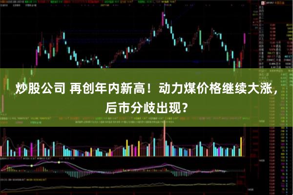 炒股公司 再创年内新高！动力煤价格继续大涨，后市分歧出现？