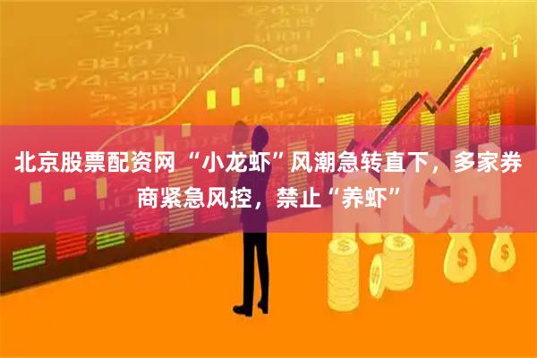 北京股票配资网 “小龙虾”风潮急转直下，多家券商紧急风控，禁止“养虾”