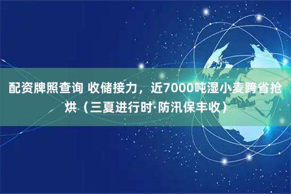 配资牌照查询 收储接力，近7000吨湿小麦跨省抢烘（三夏进行时·防汛保丰收）